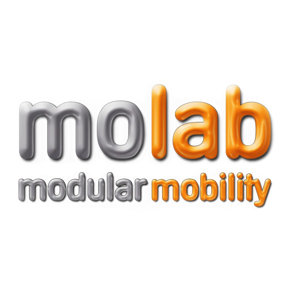 Logo molab